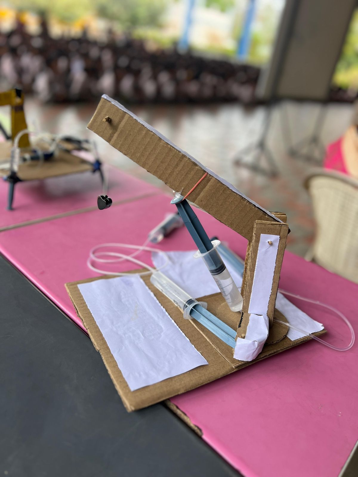 Science Day performance
