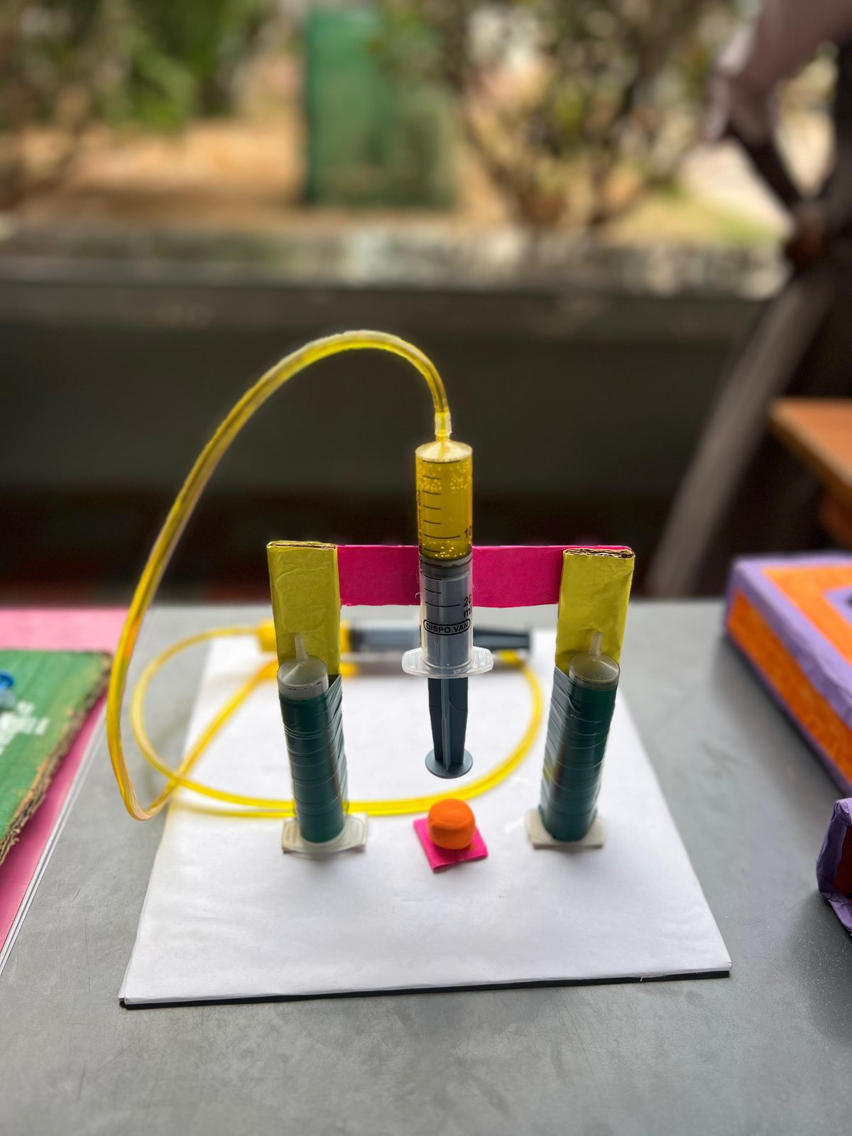 Science Day performance